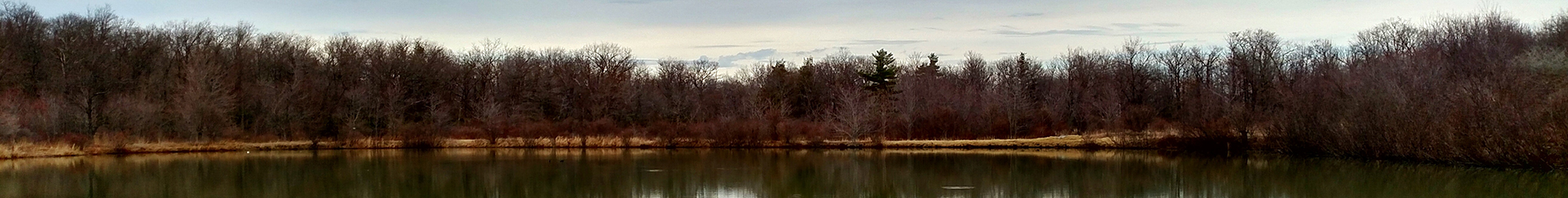 Slide2 - Edited Name Multiple Times